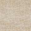 Kravet Fabric Formation Champagne