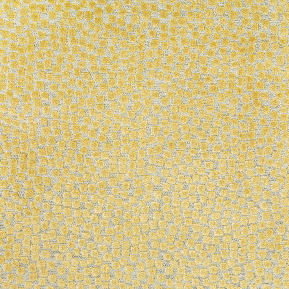 Flurries Citrine by Kravet Design Fabric Kravet Design Fabric Flurries CitrineFabric THOM FILICIA ALTITUDE POLYESTER - 50%;VISCOSE - 50% India </p><p>Repeat: H: 7, V: 5.25 54 - Fabric Carolina -