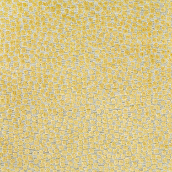 Flurries Citrine by Kravet Design Fabric Kravet Design Fabric Flurries CitrineFabric THOM FILICIA ALTITUDE POLYESTER - 50%;VISCOSE - 50% India </p><p>Repeat: H: 7, V: 5.25 54 - Fabric Carolina -