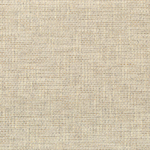Kravet Fabric Walk About Pebble