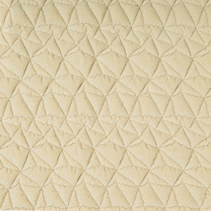 Kravet Fabric Taking Shape Champagne