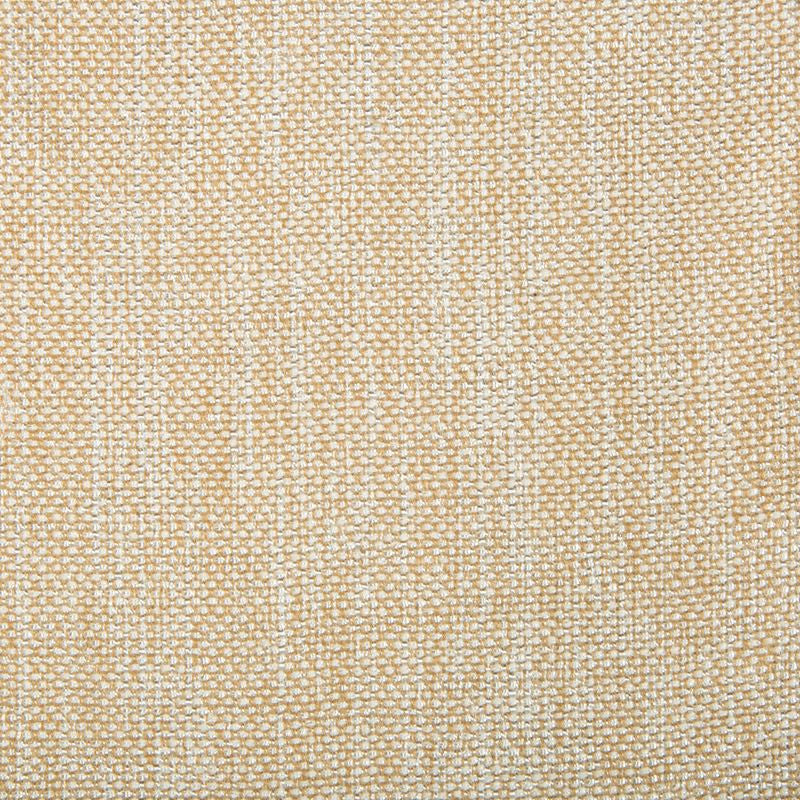 34939.1601 by Kravet Smart Designer Fabric our website for purchase Polyester 100% China Heavy Horizontal: see sample and Vertical: see sample 54 inches - Swanky Fabrics -