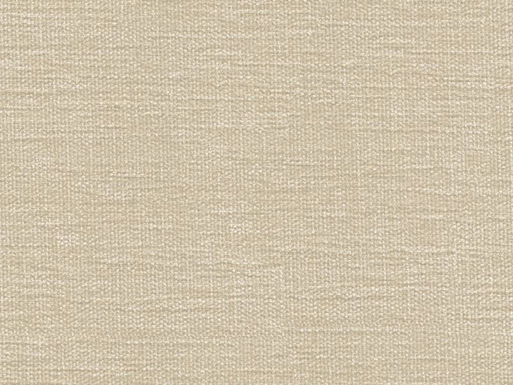 34959.111 by Kravet Smart Designer Fabric in our sample Polyester 100% India Heavy Horizontal: See Sample and Vertical: See Sample 54 inches - Swanky Fabrics -