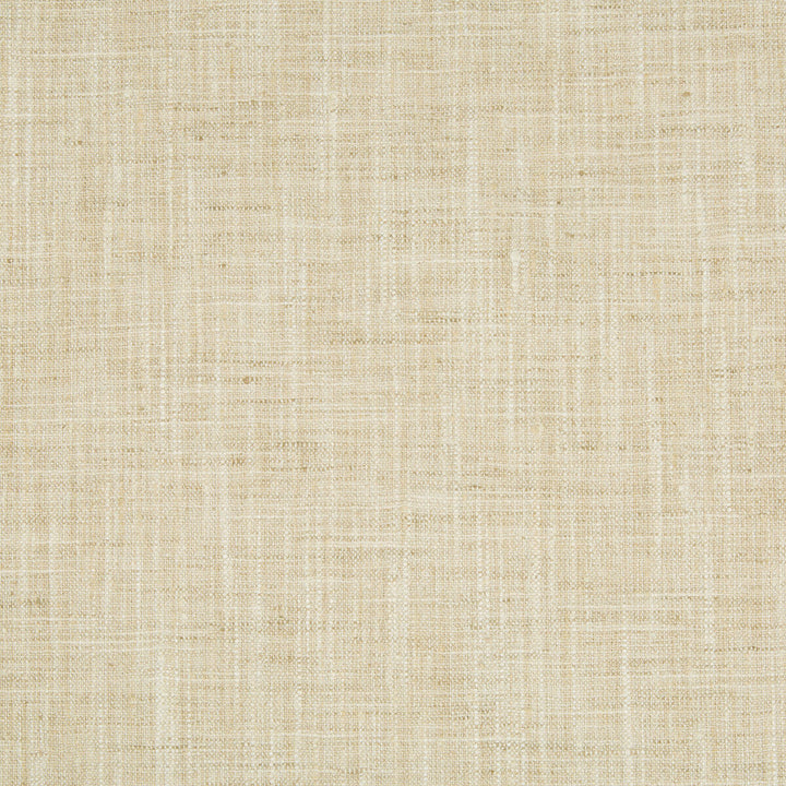 34983-111 by Kravet Basics Designer Fabric - POLYESTER - 100% India MEDIUM Horizontal: - and Vertical: - 54 - Swanky Fabrics -