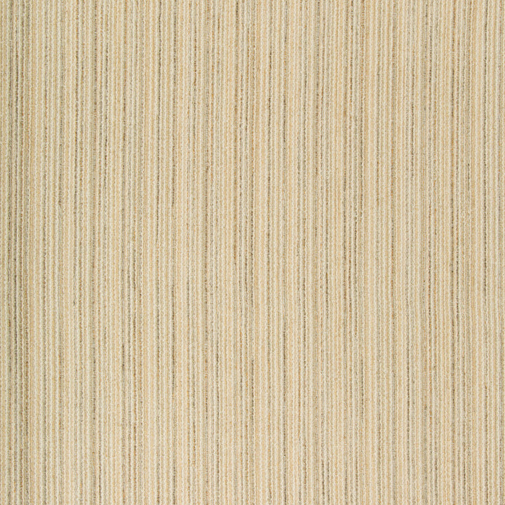 35033-1611 by Kravet Contract Designer Fabric INCASE CRYPTON GIS COTTON - 39%;RAYON - 34%;POLYESTER - 19%;FLAX - 7%;NYLON - 1% United States HEAVY Horizontal: 0 and Vertical: 0 56.75 - Swanky Fabrics -