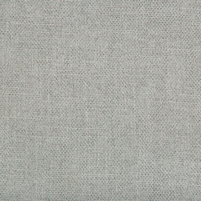 35060.1115.0 by Kravet Fabric Kravet Fabric 35060.1115.0Fabric PERFORMANCE KRAVETARMOR POLYESTER - 100% China </p><p>Repeat: H: 0, V: 0 55 - Fabric Carolina -