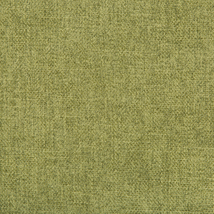 Kf Smt:: by Kravet Smart Designer Fabric PERFORMANCE KRAVETARMOR POLYESTER - 100% China HEAVY Horizontal: 0 and Vertical: 0 55 - Swanky Fabrics -