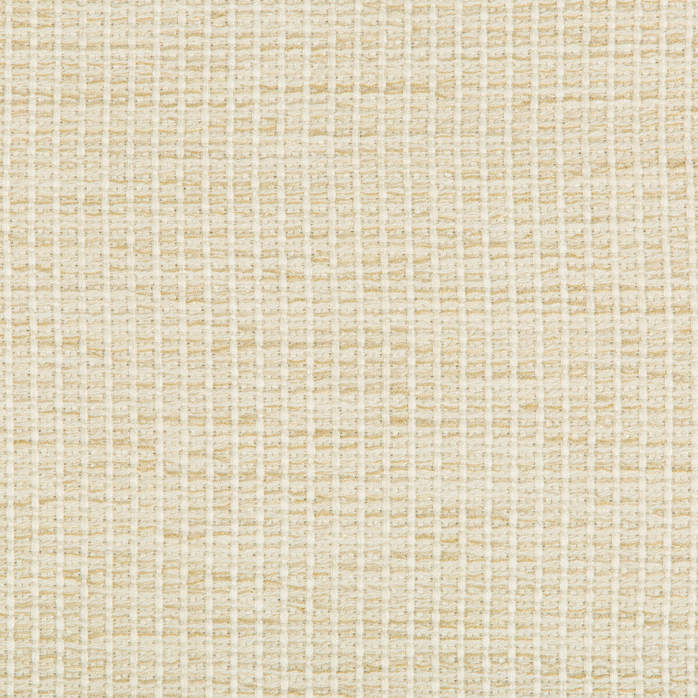 35123-116 by Kravet Design Designer Fabric PERFORMANCE CRYPTON HOME RAYON - 85%;COTTON - 14%;NYLON - 1% United States HEAVY Horizontal: 0 and Vertical: 0 54.5 - Swanky Fabrics -