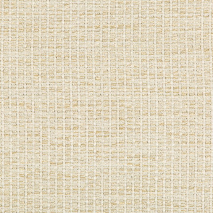 35123-116 by Kravet Design Designer Fabric PERFORMANCE CRYPTON HOME RAYON - 85%;COTTON - 14%;NYLON - 1% United States HEAVY Horizontal: 0 and Vertical: 0 54.5 - Swanky Fabrics -