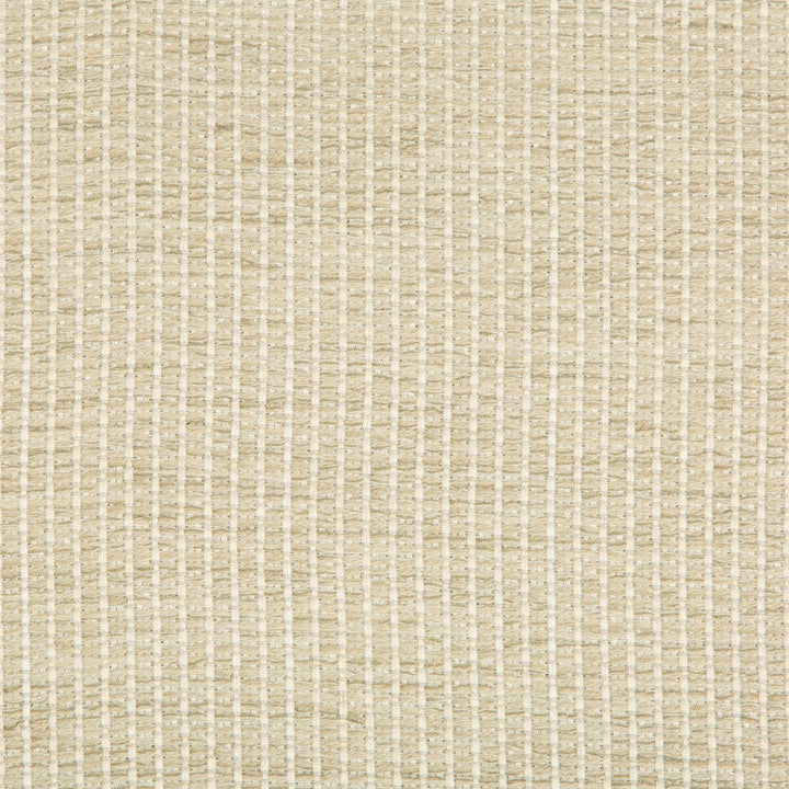 35123-1611 by Kravet Design Designer Fabric PERFORMANCE CRYPTON HOME RAYON - 85%;COTTON - 14%;NYLON - 1% United States HEAVY Horizontal: 0 and Vertical: 0 54.5 - Swanky Fabrics -