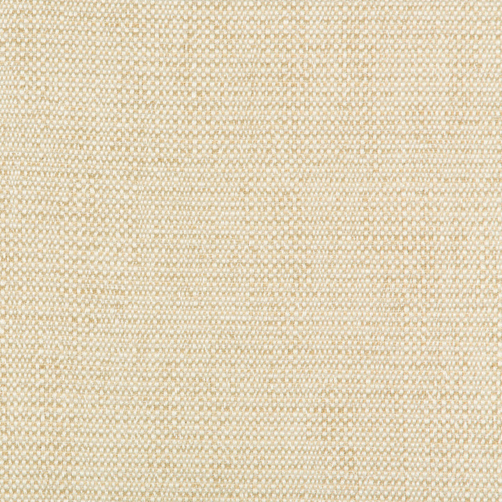 35132-116 by Kravet Contract Designer Fabric INCASE CRYPTON GIS RAYON - 78%;COTTON - 21%;NYLON - 1% United States HEAVY Horizontal: 0 and Vertical: 0 57 - Swanky Fabrics -