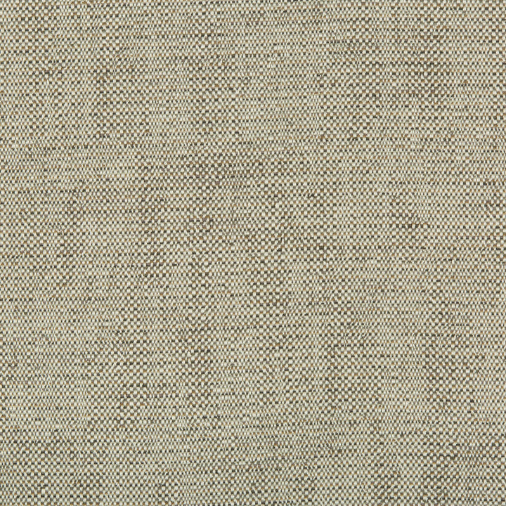 35132-1611 by Kravet Contract Designer Fabric INCASE CRYPTON GIS RAYON - 78%;COTTON - 21%;NYLON - 1% United States HEAVY Horizontal: 0 and Vertical: 0 57 - Swanky Fabrics -