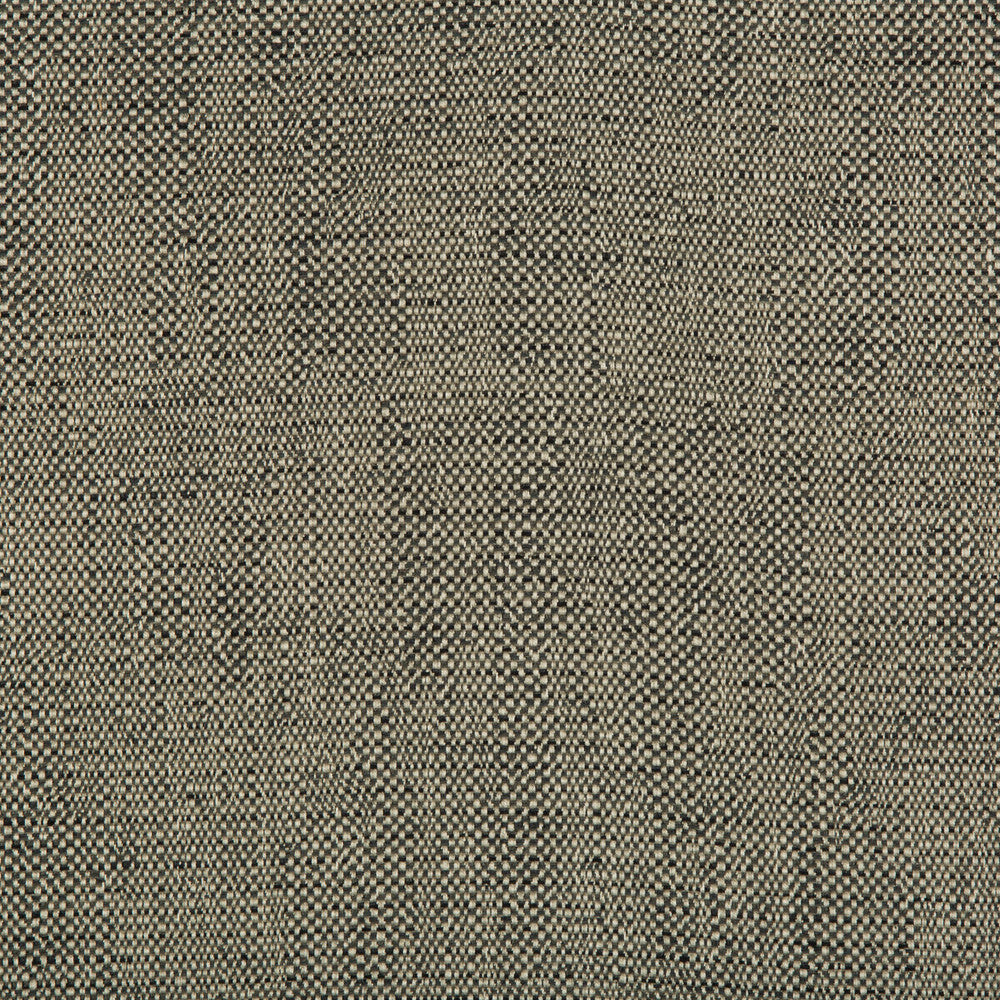 35132-21 by Kravet Contract Designer Fabric INCASE CRYPTON GIS RAYON - 78%;COTTON - 21%;NYLON - 1% United States HEAVY Horizontal: 0 and Vertical: 0 57 - Swanky Fabrics -