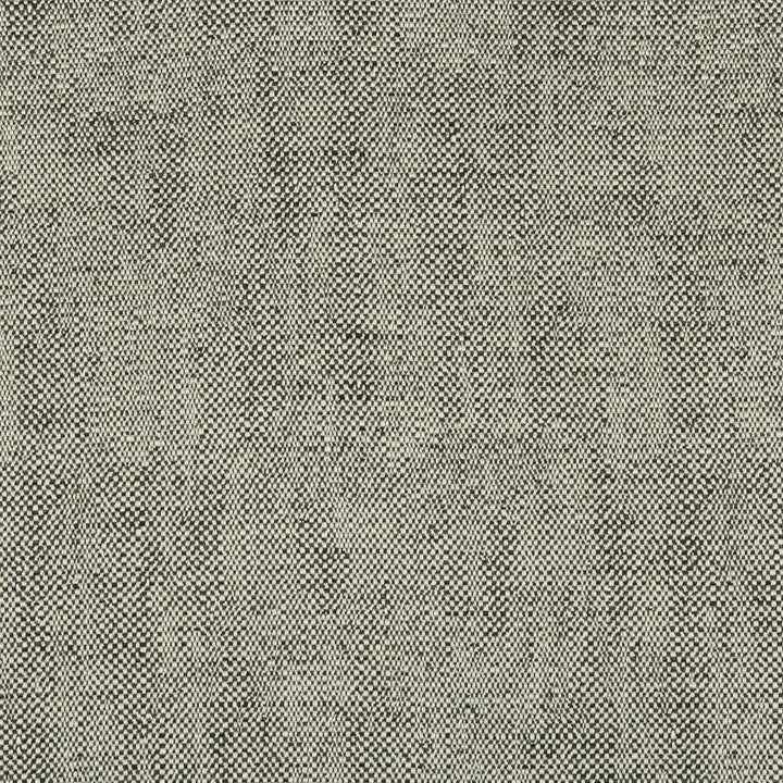 35132-81 by Kravet Contract Designer Fabric INCASE CRYPTON GIS RAYON - 78%;COTTON - 21%;NYLON - 1% United States HEAVY Horizontal: 0 and Vertical: 0 57 - Swanky Fabrics -