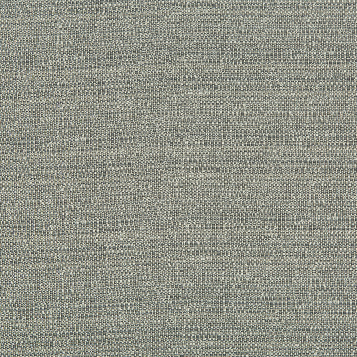 35141-11 by Kravet Contract Designer Fabric INCASE CRYPTON GIS POLYESTER - 100% United States HEAVY Horizontal: 0 and Vertical: 0 56 - Swanky Fabrics -