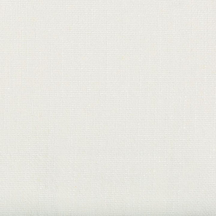 35189.1 by Kravet Basics Designer Fabric our website for purchase Rayon 75%, Linen 15%, Cotton 10% China Heavy Horizontal: see sample and Vertical: see sample 54 inches - Swanky Fabrics -