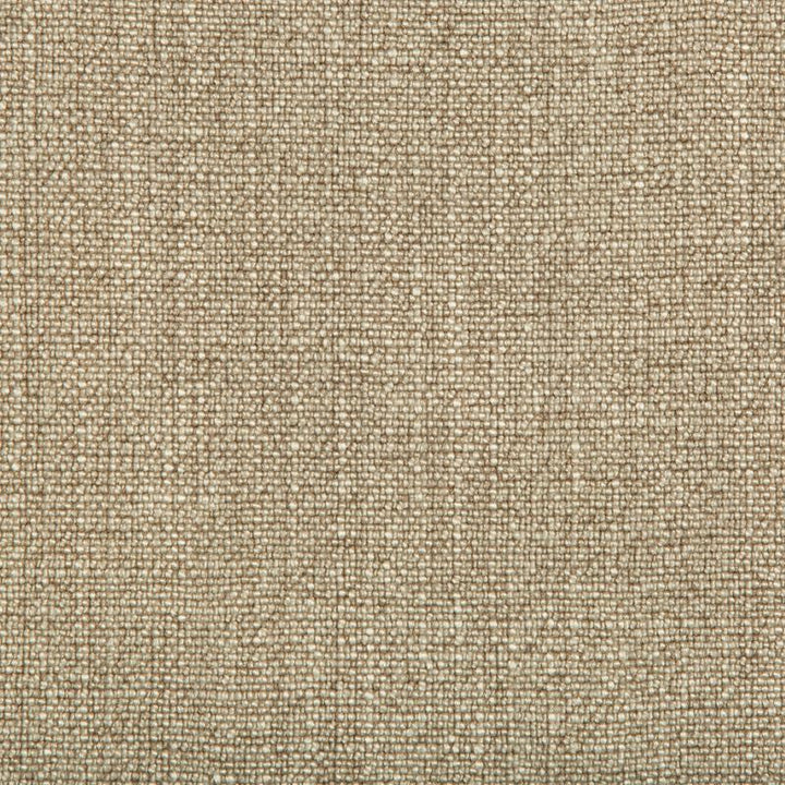 35189.106 by Kravet Basics Designer Fabric our website for purchase Rayon 75%, Linen 15%, Cotton 10% China Heavy Horizontal: see sample and Vertical: see sample 54 inches - Swanky Fabrics -
