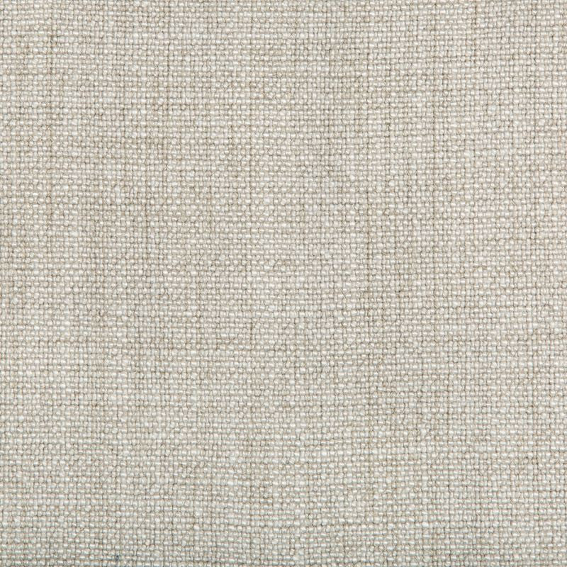 35189.1106 by Kravet Basics Designer Fabric our website for purchase Rayon 75%, Linen 15%, Cotton 10% China Heavy Horizontal: see sample and Vertical: see sample 54 inches - Swanky Fabrics -
