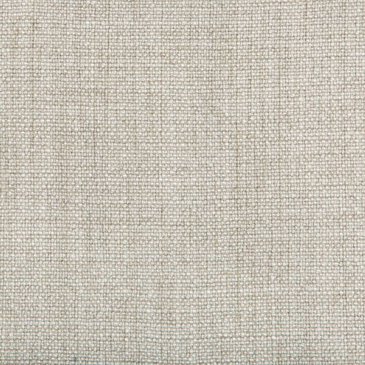 35189.1106 by Kravet Basics Designer Fabric our website for purchase Rayon 75%, Linen 15%, Cotton 10% China Heavy Horizontal: see sample and Vertical: see sample 54 inches - Swanky Fabrics -