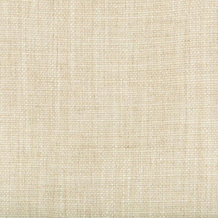 35189.1116 by Kravet Basics Designer Fabric our website for purchase Rayon 75%, Linen 15%, Cotton 10% China Heavy Horizontal: see sample and Vertical: see sample 54 inches - Swanky Fabrics -