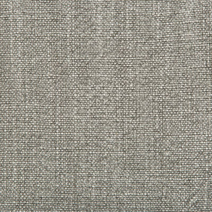 35189.2111 by Kravet Basics Designer Fabric our website for purchase Rayon 75%, Linen 15%, Cotton 10% China Heavy Horizontal: see sample and Vertical: see sample 54 inches - Swanky Fabrics -