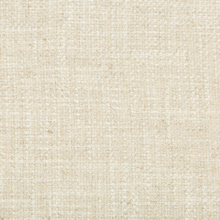 35190-116 by Kravet Basics Designer Fabric VISCOSE - 45%;COTTON - 35%;LINEN - 20% China HEAVY Horizontal: 0 and Vertical: 0 56 - Swanky Fabrics -