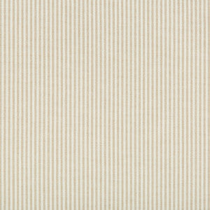 Kravet Fabric 35199-116