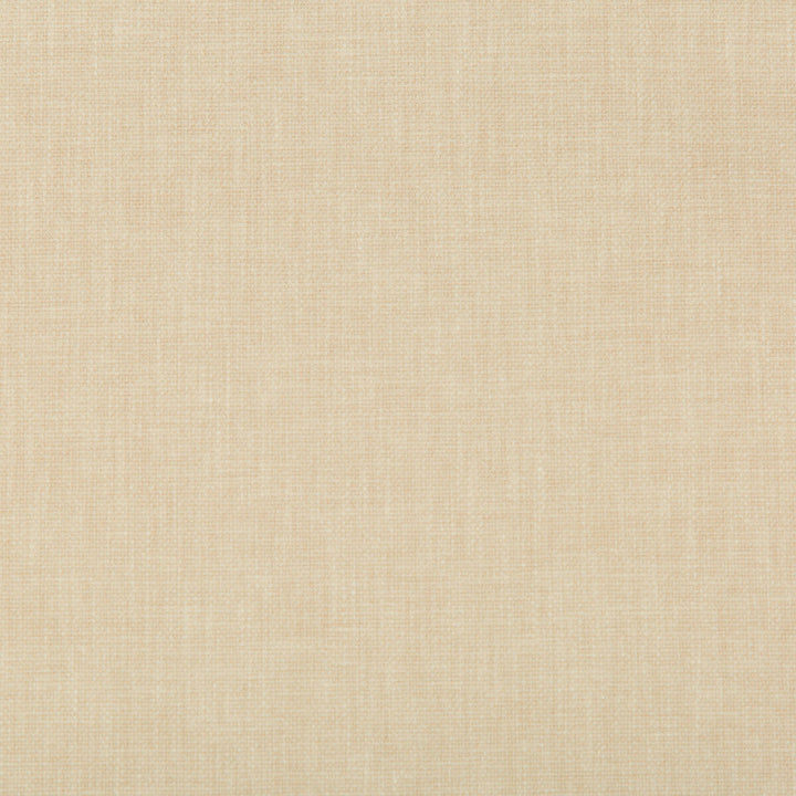 35245-16 by Kravet Basics Designer Fabric COTTON - 50%;POLYESTER - 50% India HEAVY Horizontal: 0 and Vertical: 0 55 - Swanky Fabrics -