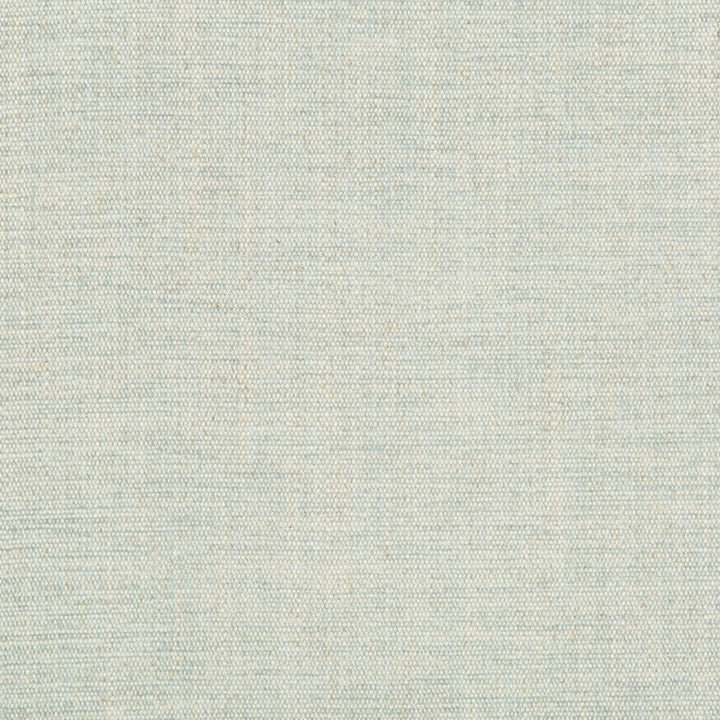 Rutledge Spa by Kravet Basics Designer Fabric GREENWICH COLLECTION ACRYLIC CHENILLE - 50%;COTTON - 19%;LINEN - 11%;POLYESTER - 10%;VISCOSE - 10% Turkey HEAVY Horizontal: and Vertical: 54 - Swanky Fabrics -