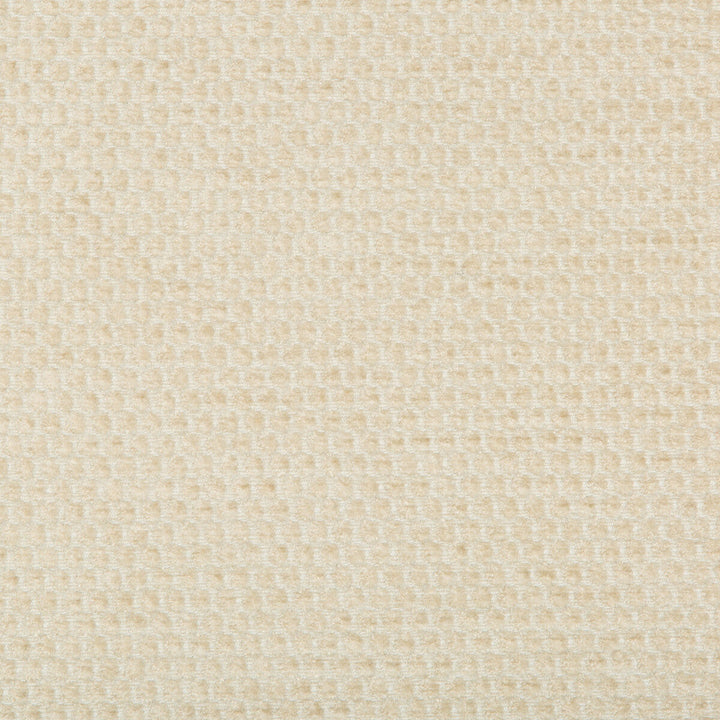 35321-16 by Kravet Smart Designer Fabric PERFORMANCE KRAVETARMOR POLYESTER - 66%;VISCOSE - 34% India HEAVY Horizontal: and Vertical: 54 - Swanky Fabrics -
