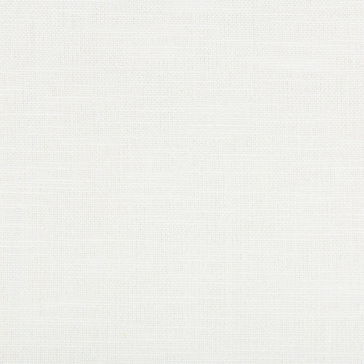 35339-101 by Kravet Basics Designer Fabric LINEN - 68%;COTTON - 32% Brazil LIGHT Horizontal: 0 and Vertical: 0 55 - Swanky Fabrics -