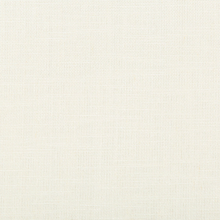 35339-1 by Kravet Basics Designer Fabric LINEN - 68%;COTTON - 32% Brazil LIGHT Horizontal: 0 and Vertical: 0 55 - Swanky Fabrics -