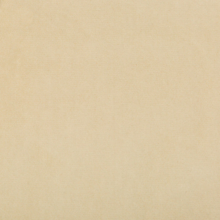 35366-1116 by Kravet Design Designer Fabric - COTTON - 100% Netherlands HEAVY Horizontal: 0 and Vertical: 0 55 - Swanky Fabrics -