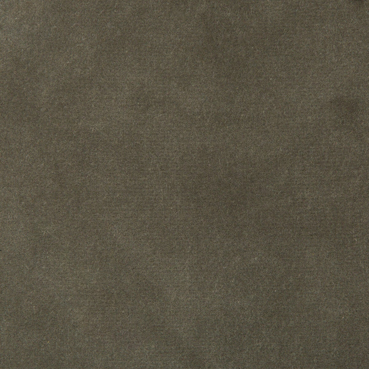 35366-1121 by Kravet Design Designer Fabric COTTON - 100% Netherlands HEAVY Horizontal: 0 and Vertical: 0 55 - Swanky Fabrics -