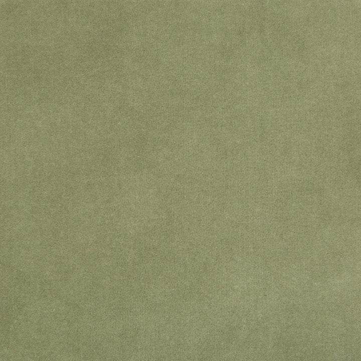 Kravet Design 35366-113 by Kravet Design Fabric Kravet Design Fabric Kravet Design 35366-113Fabric COTTON - 100% Netherlands </p><p>Repeat: H: 0, V: 0 55 - Fabric Carolina -