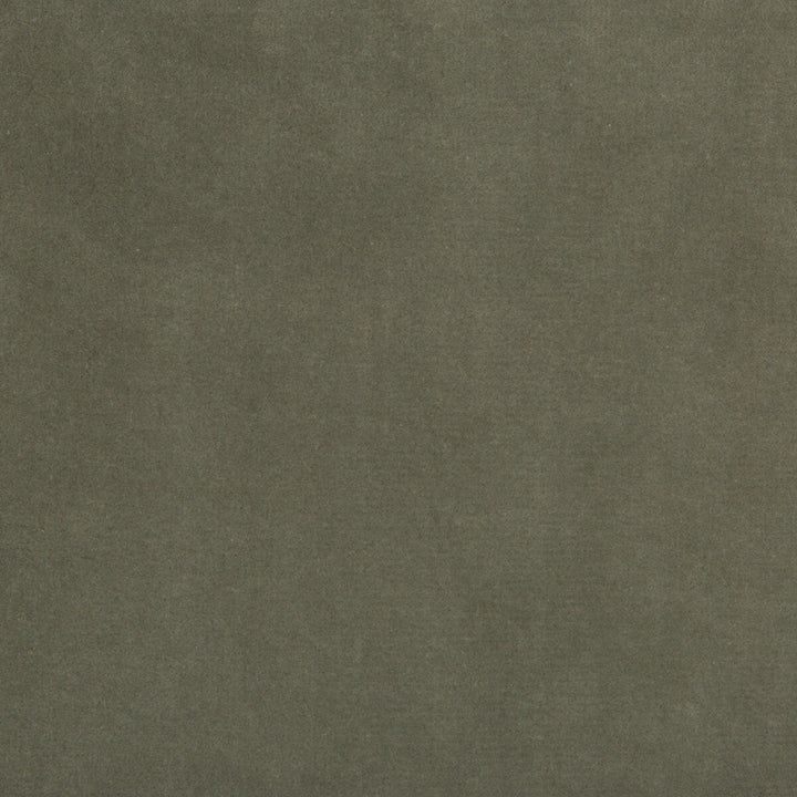 Kravet Design 35366-11 by Kravet Design Fabric Kravet Design Fabric Kravet Design 35366-11Fabric COTTON - 100% Netherlands </p><p>Repeat: H: 0, V: 0 55 - Fabric Carolina -