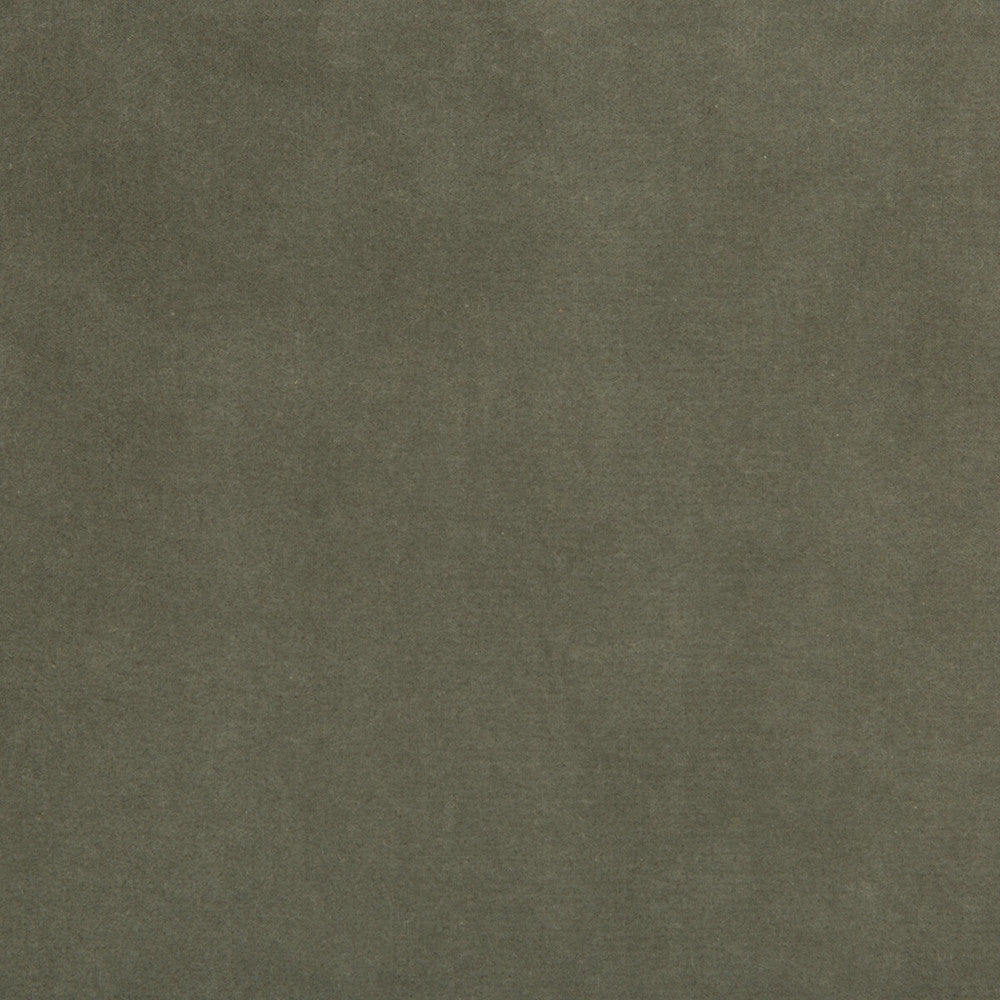 35366-11 by Kravet Design Designer Fabric - COTTON - 100% Netherlands HEAVY Horizontal: 0 and Vertical: 0 55 - Swanky Fabrics -