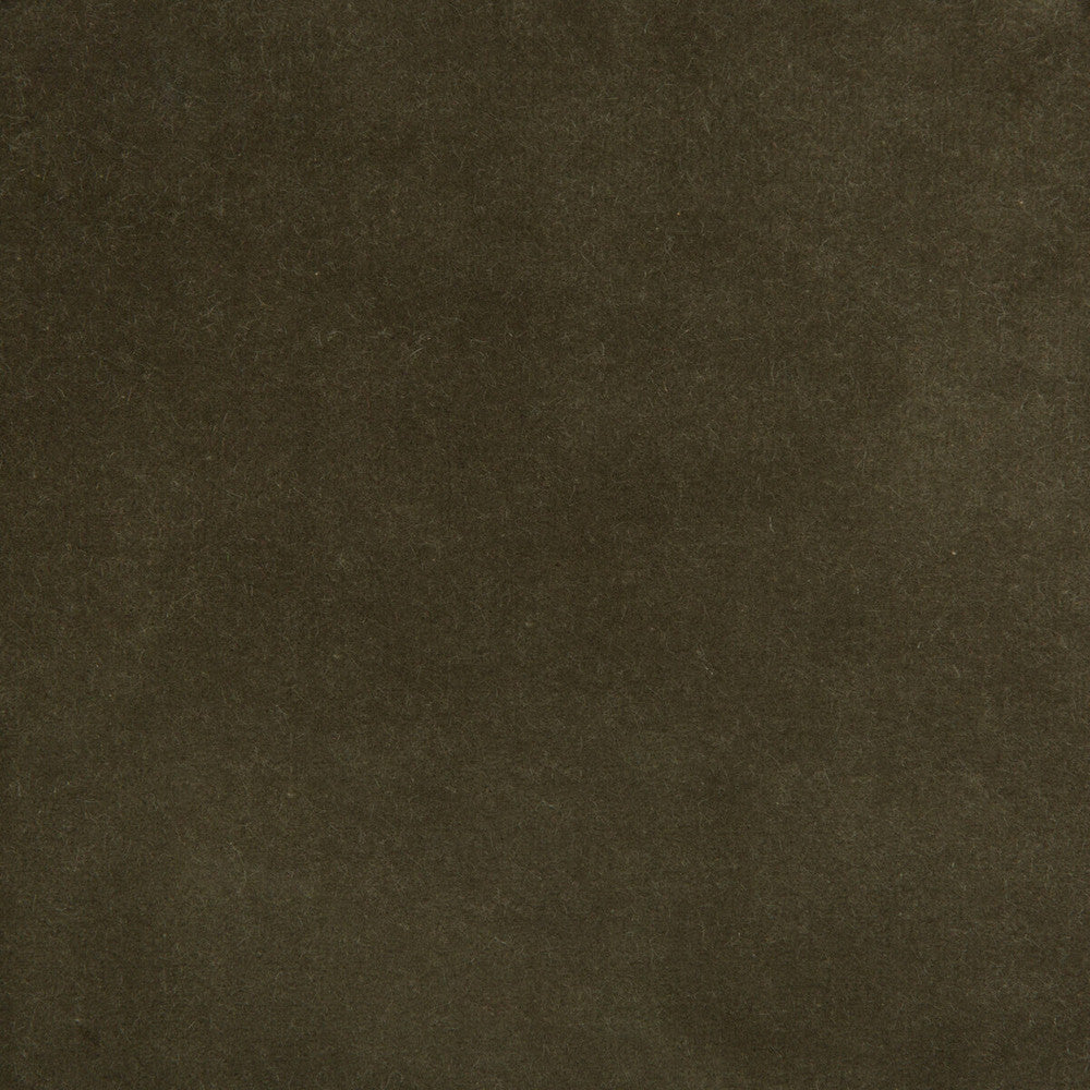 35366-2111 by Kravet Design Designer Fabric - COTTON - 100% Netherlands HEAVY Horizontal: 0 and Vertical: 0 55 - Swanky Fabrics -