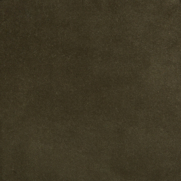 35366-2111 by Kravet Design Designer Fabric COTTON - 100% Netherlands HEAVY Horizontal: 0 and Vertical: 0 55 - Swanky Fabrics -