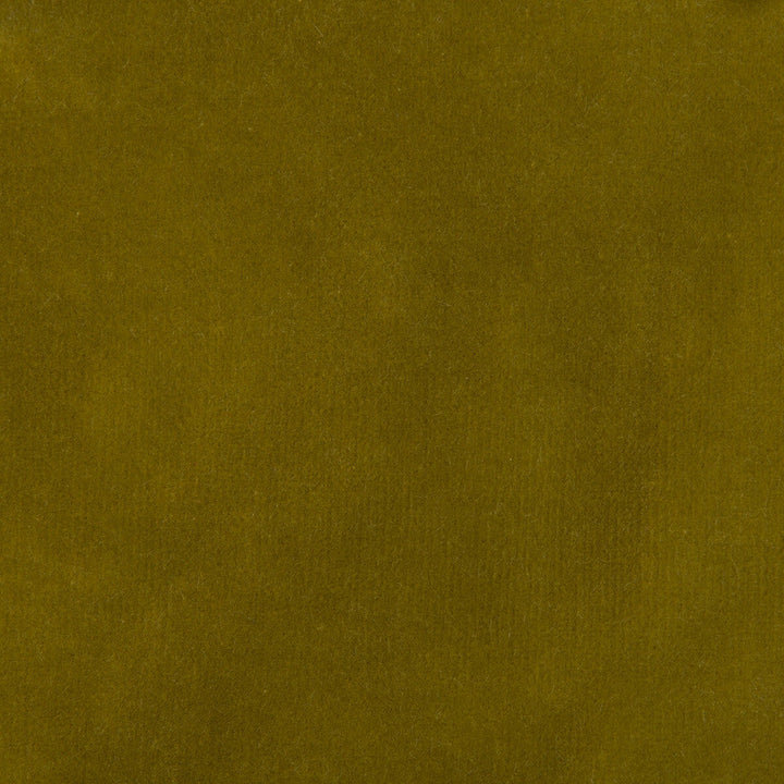 35366-304 by Kravet Design Designer Fabric - COTTON - 100% Netherlands HEAVY Horizontal: 0 and Vertical: 0 55 - Swanky Fabrics -