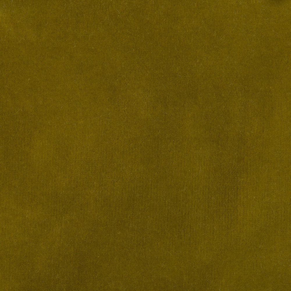 35366-304 by Kravet Design Designer Fabric COTTON - 100% Netherlands HEAVY Horizontal: 0 and Vertical: 0 55 - Swanky Fabrics -