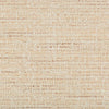Kravet Fabric 35396-112