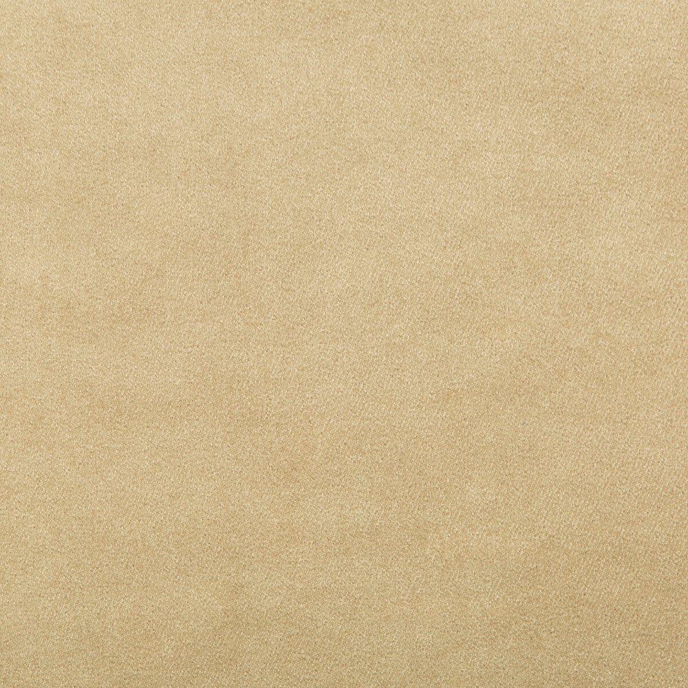 Madison Velvet Sandalwood by Kravet Contract Designer Fabric POLYESTER - 100% Turkey HEAVY Horizontal: and Vertical: 55 - Swanky Fabrics -