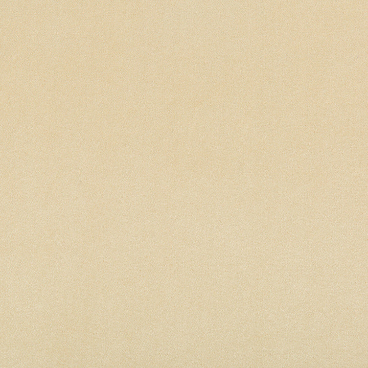 Madison Velvet Papyrus by Kravet Contract Designer Fabric POLYESTER - 100% Turkey HEAVY Horizontal: and Vertical: 55 - Swanky Fabrics -