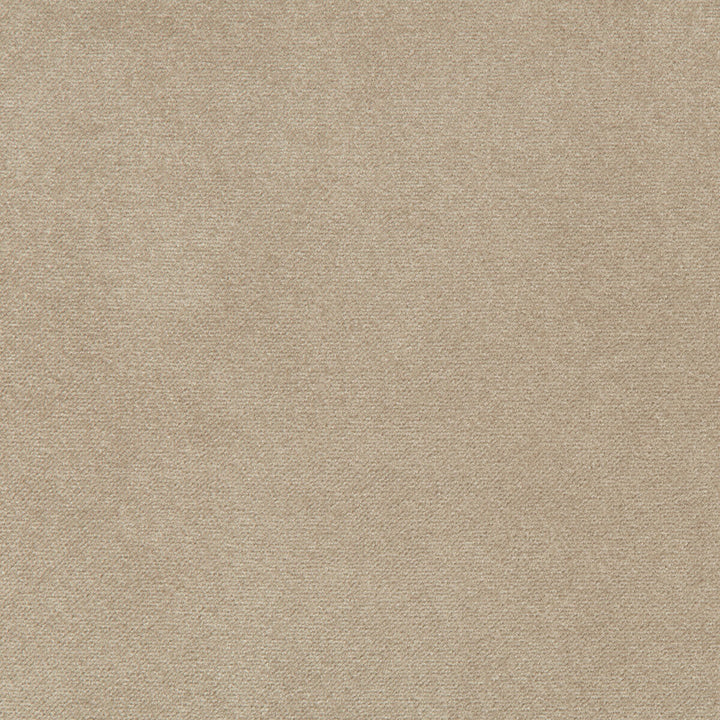 Madison Velvet Porcini by Kravet Contract Fabric Kravet Contract Fabric Madison Velvet PorciniFabric POLYESTER - 100% Turkey </p><p>Repeat: H: , V: 55 - Fabric Carolina -