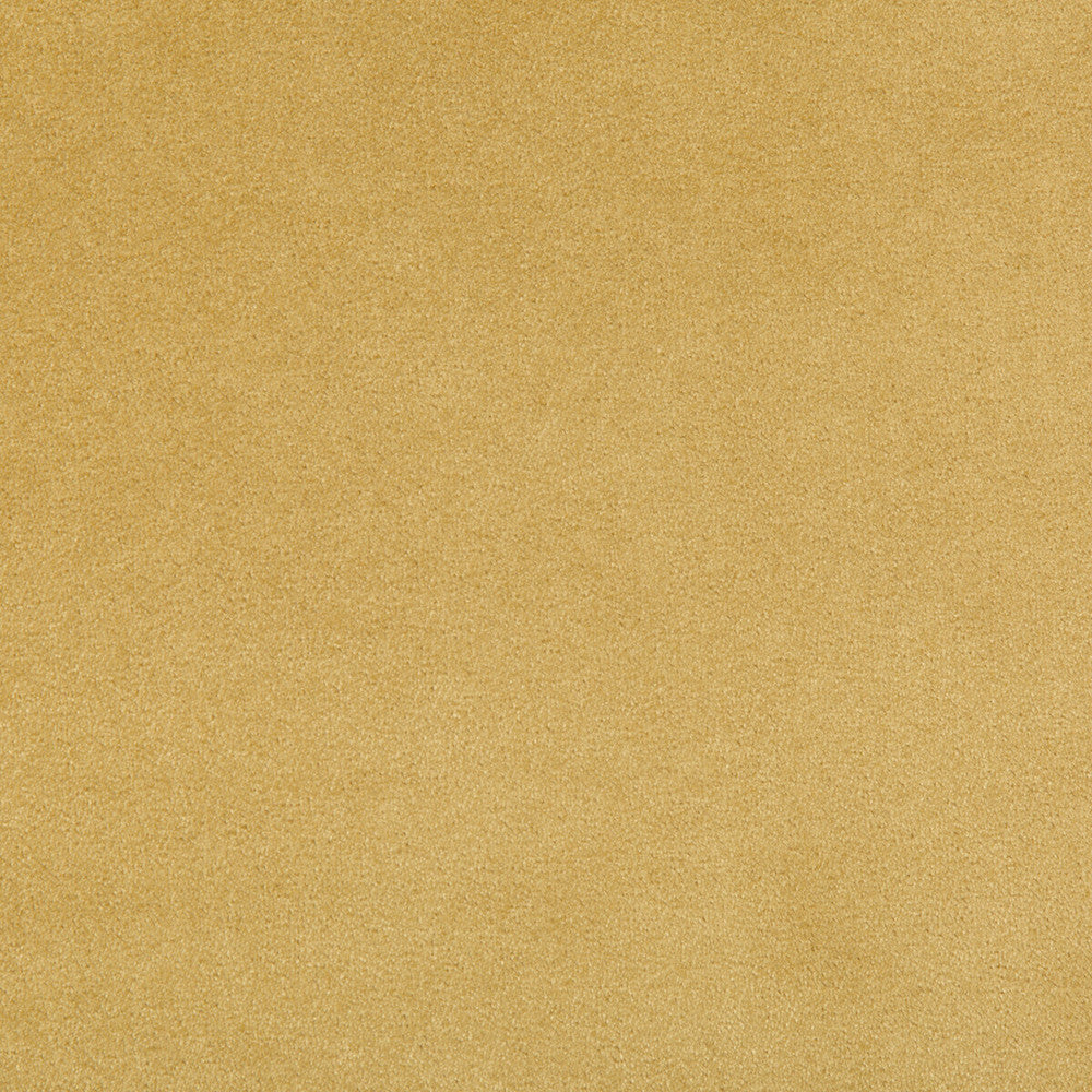 Madison Velvet Marigold by Kravet Contract Designer Fabric POLYESTER - 100% Turkey HEAVY Horizontal: and Vertical: 55 - Swanky Fabrics -