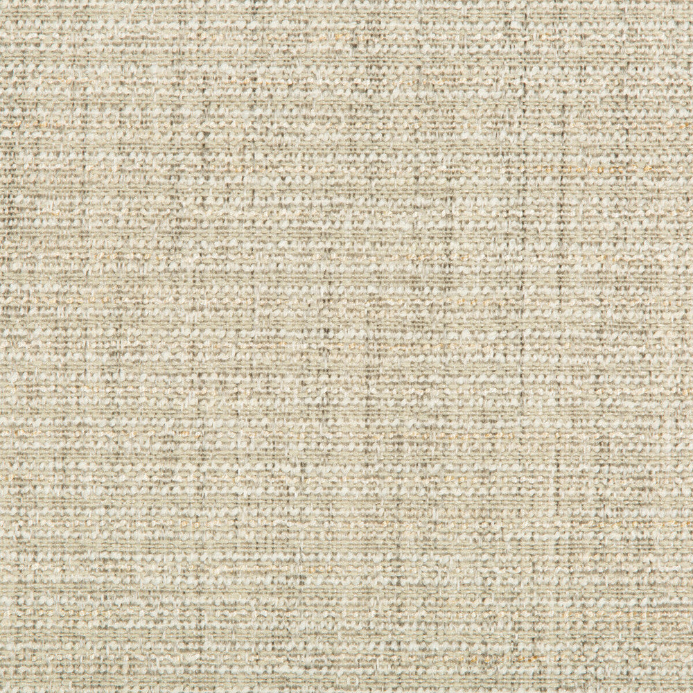 35410-1123 by Kravet Contract Designer Fabric CRYPTON INCASE POLYESTER - 66%;OLEFIN - 22%;COTTON - 12% China HEAVY Horizontal: and Vertical: 54 - Swanky Fabrics -