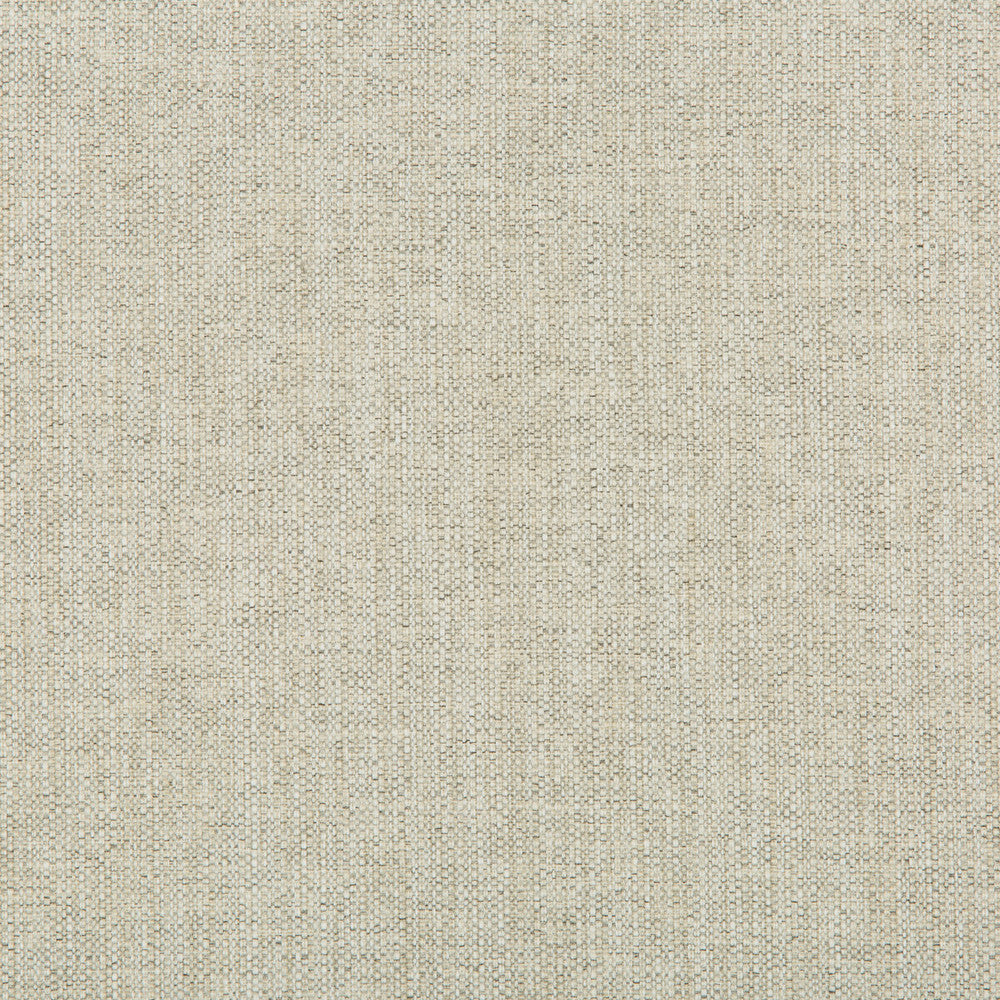 35443-111 by Kravet Contract Designer Fabric OLEFIN - 52%;POLYESTER - 48% United States HEAVY Horizontal: 0 and Vertical: 0 56 - Swanky Fabrics -