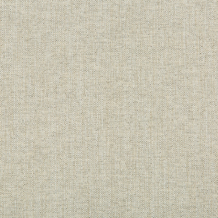 35443-111 by Kravet Contract Designer Fabric OLEFIN - 52%;POLYESTER - 48% United States HEAVY Horizontal: 0 and Vertical: 0 56 - Swanky Fabrics -