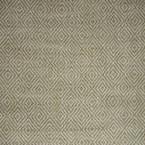 Kravet Fabric Izu Melon